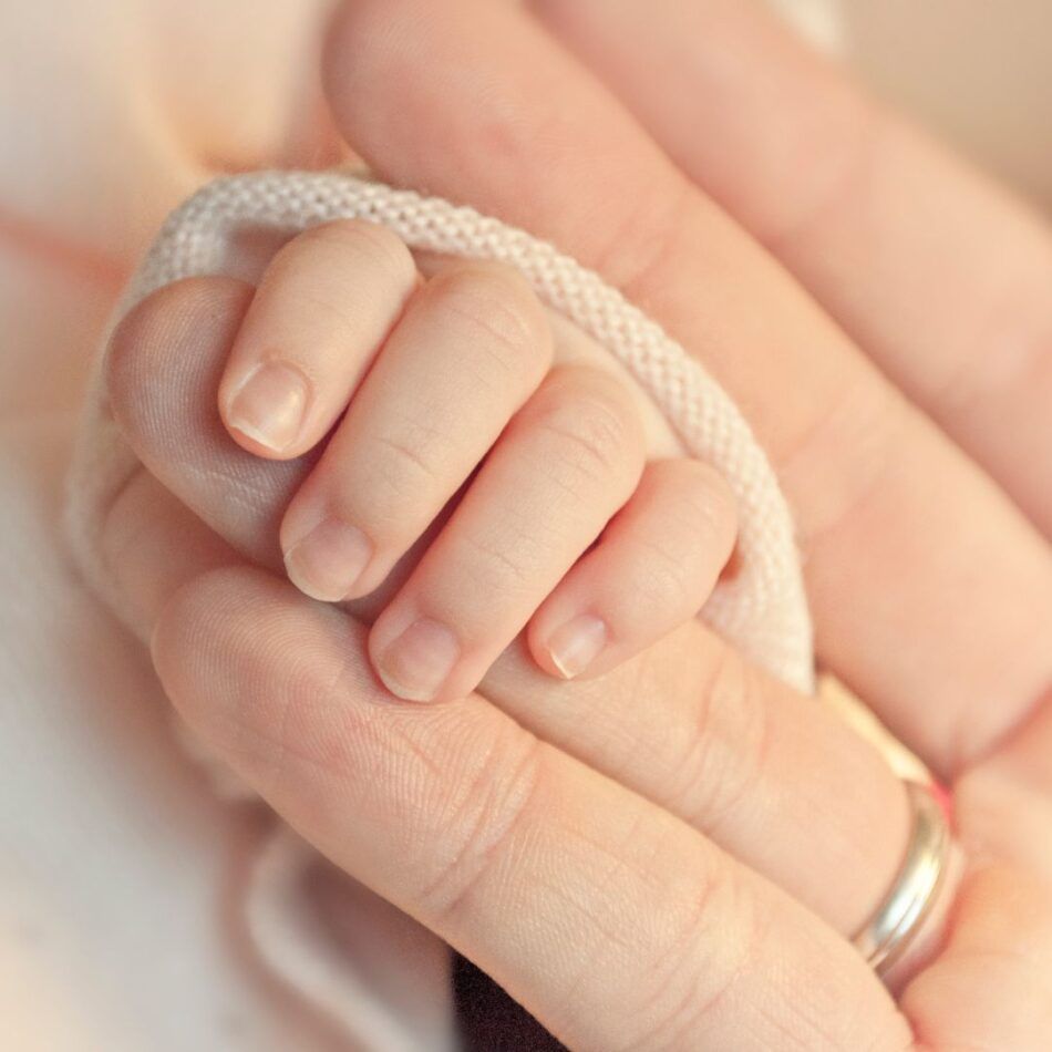 Matrescencia, Maternidad